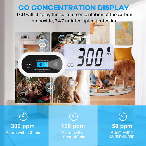 Carbon Monoxide Alarm with Digital LCD Display and Test Button, CO Detector with 5-Year Life Battery, EN 50291, VC22R