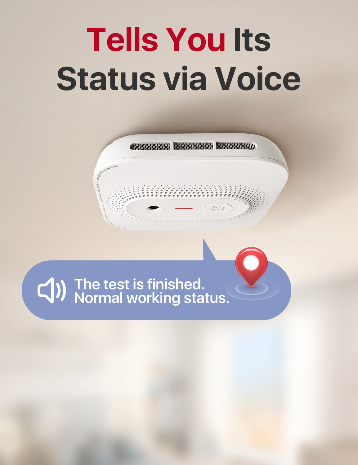 XP02-AR Hardwired Smoke and CO Detector with Voice Alert | X-Sense